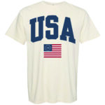 Classic USA T-Shirt