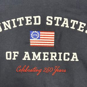 USA 250 Embroidered Navy Hoodie (Close-up)