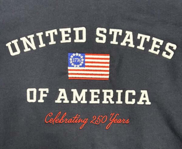 USA 250 Embroidered Navy Hoodie (Close-up)